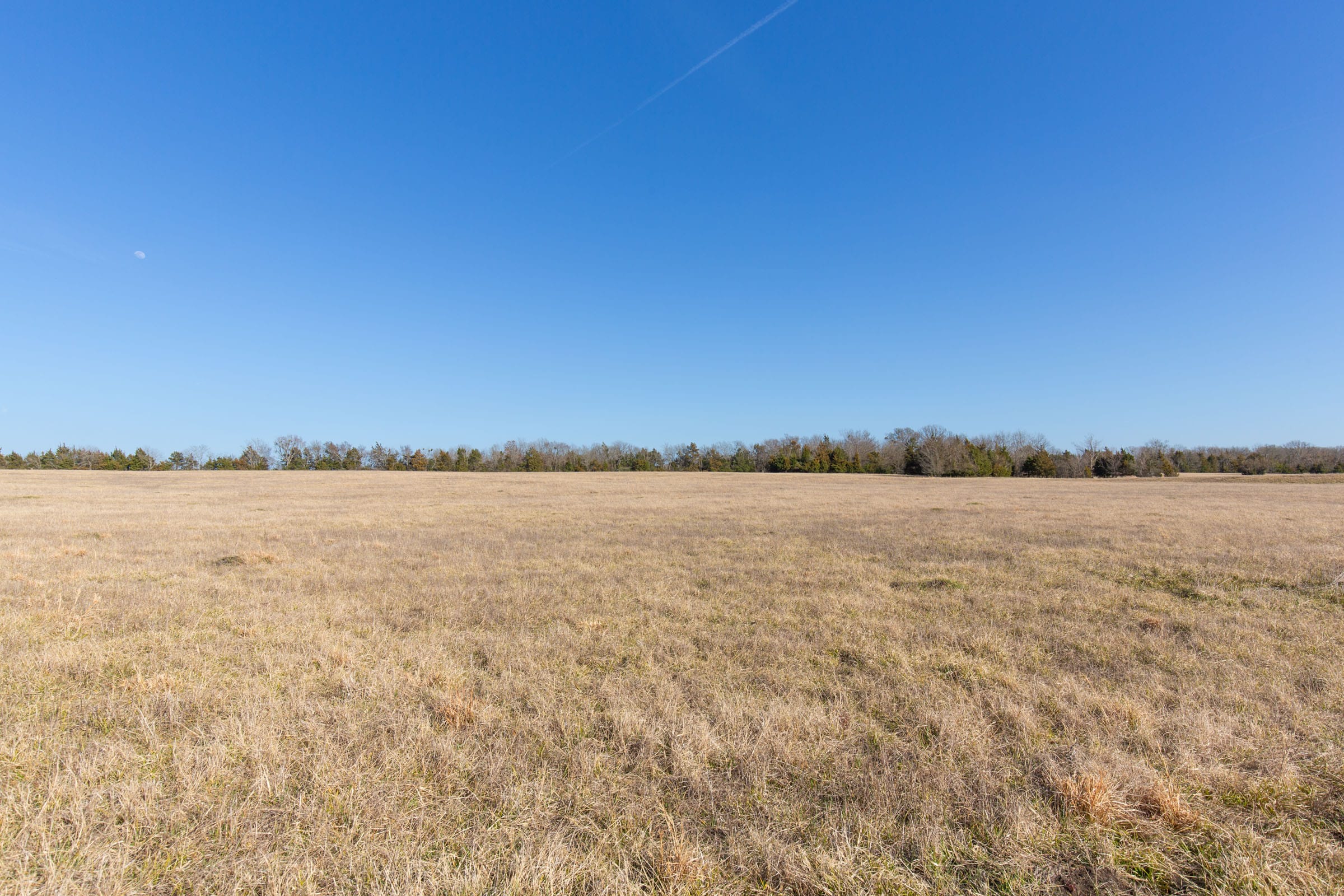 Wishing Star Ranch Tract 80 photo 12