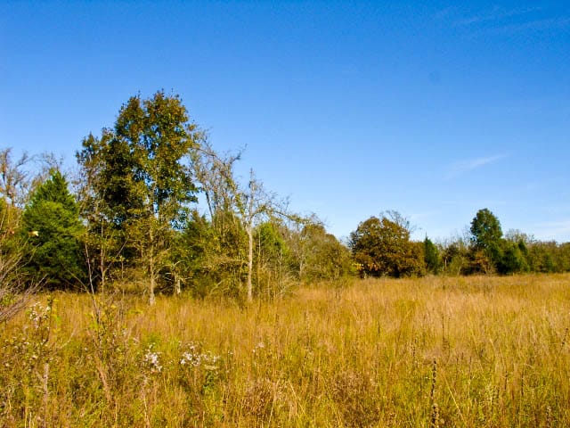 Saddlebrook Ranch Tract 21 photo 2