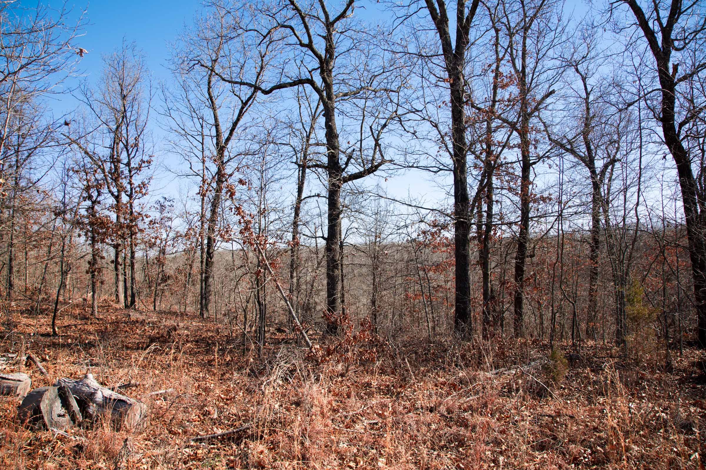 Buffalo Hills Tract 15 photo 3