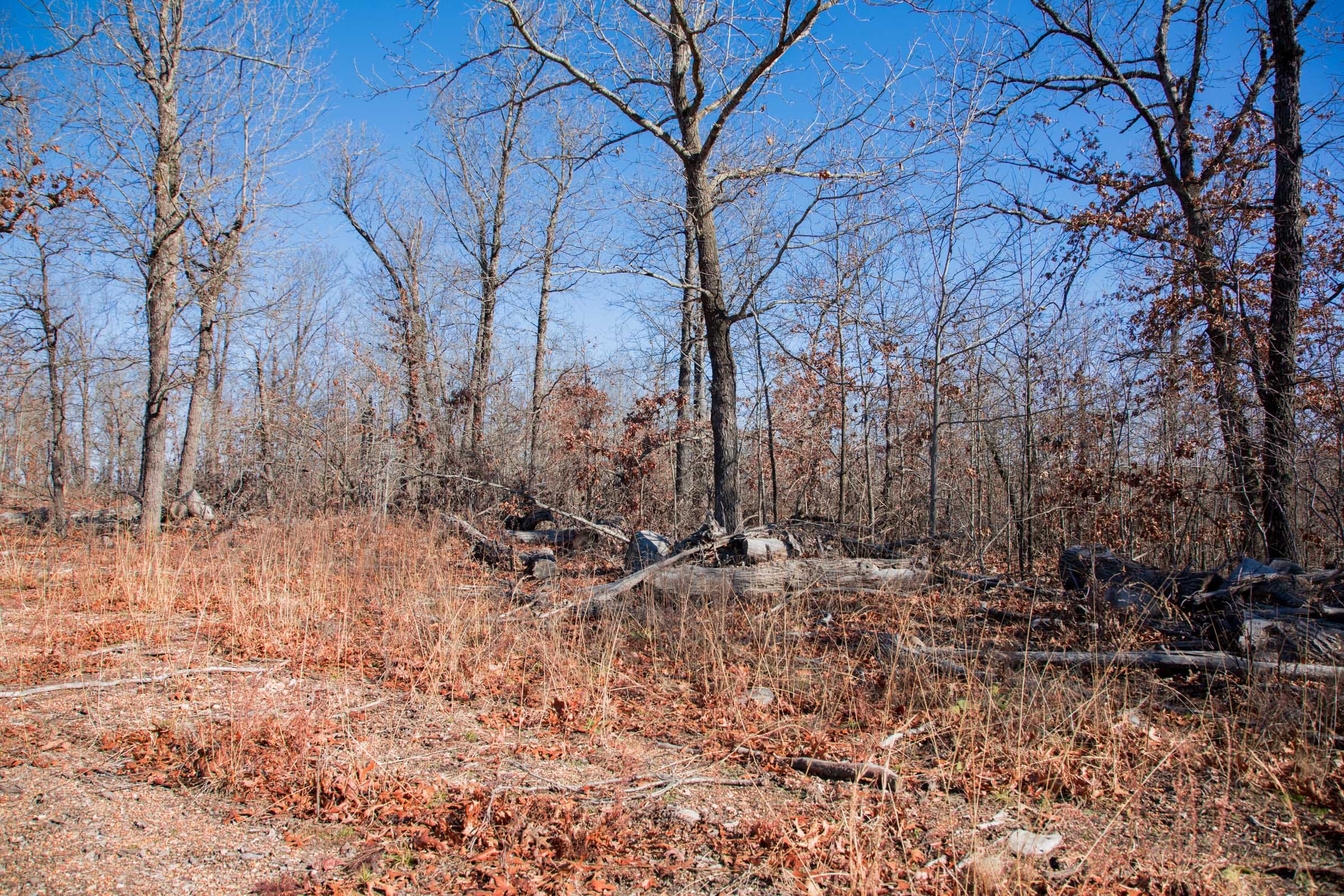 Buffalo Hills Tract 15 photo 5