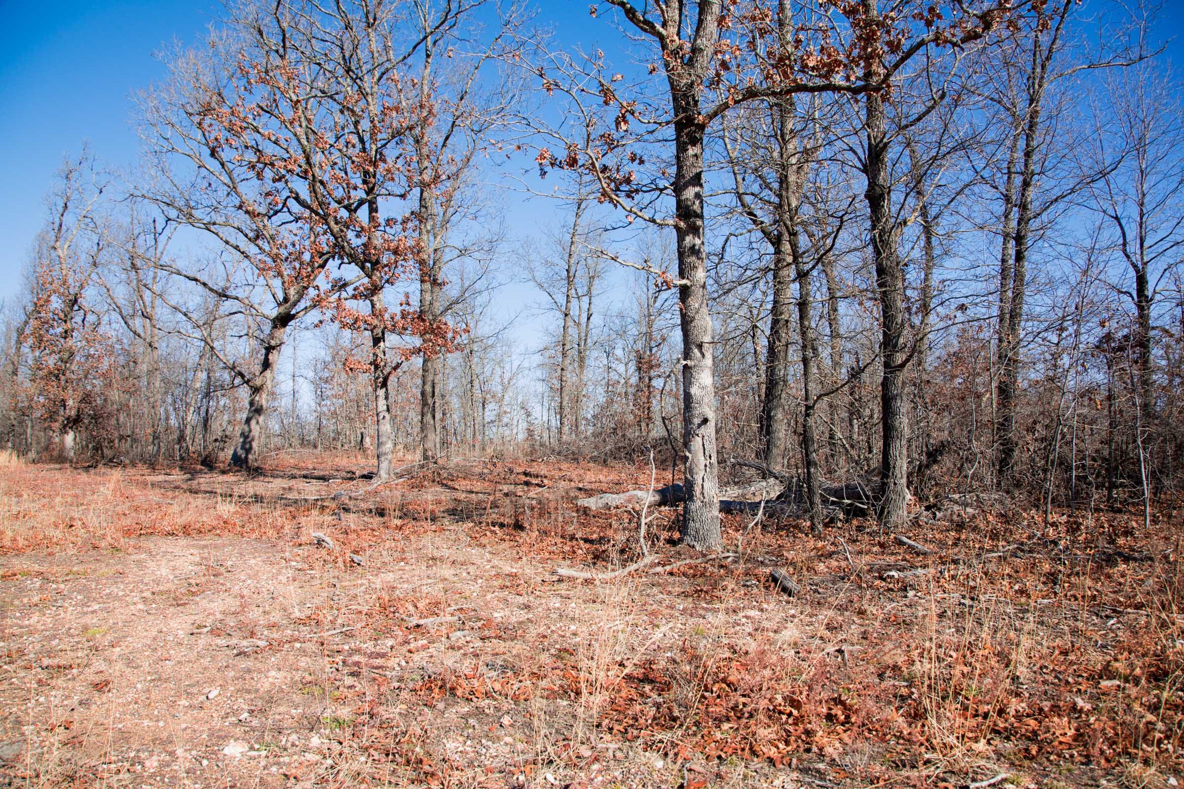Buffalo Hills Tract 15 photo 7