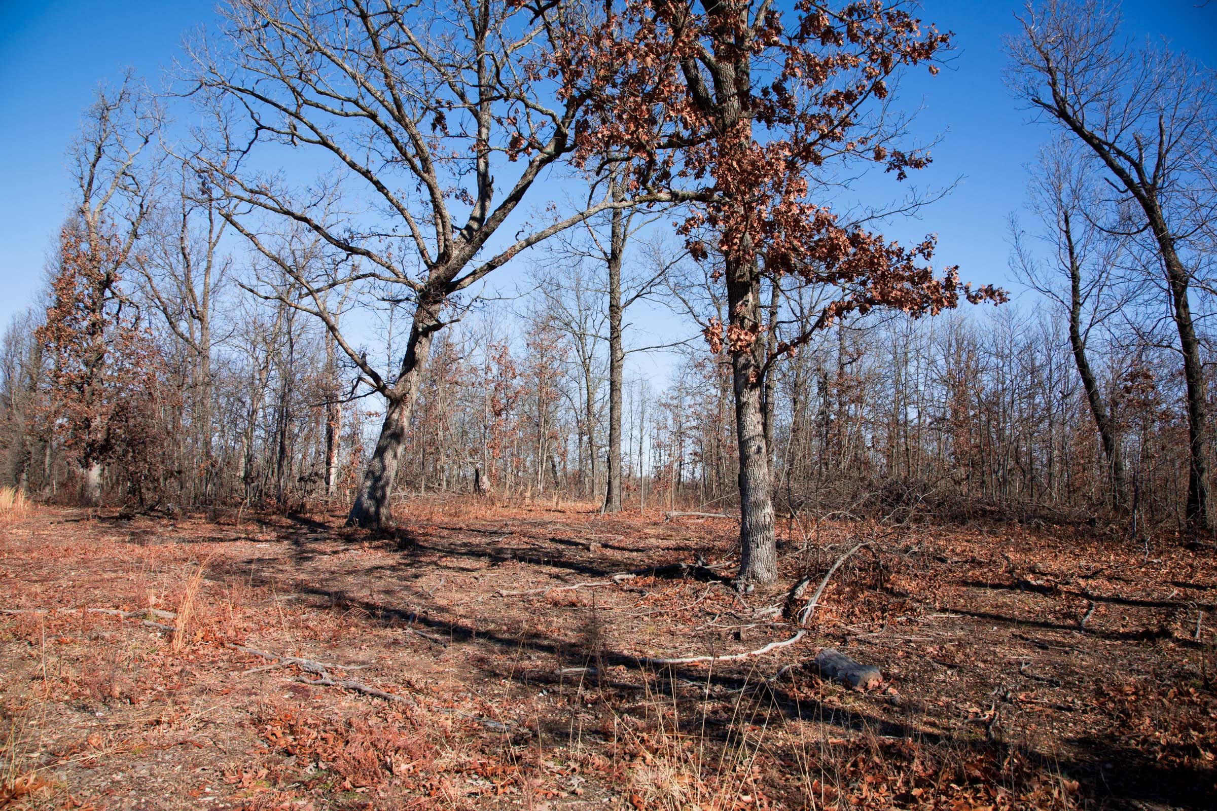 Buffalo Hills Tract 15 photo 8