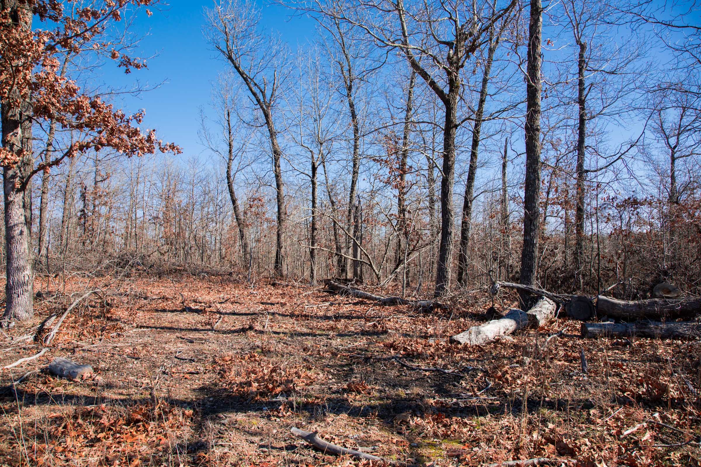 Buffalo Hills Tract 15 photo 9