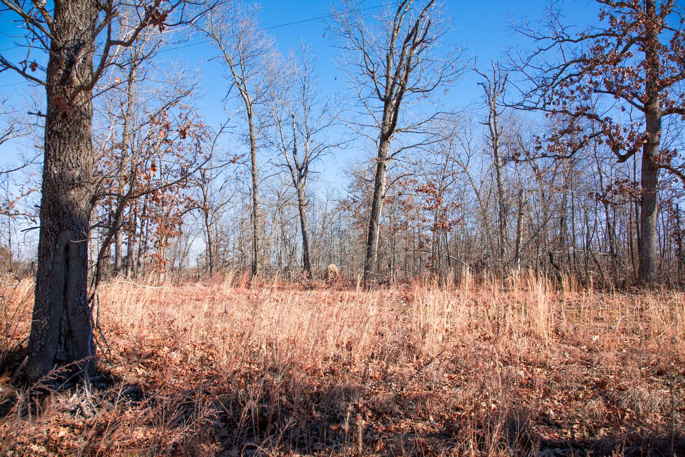Buffalo Hills Tract 15 photo 10