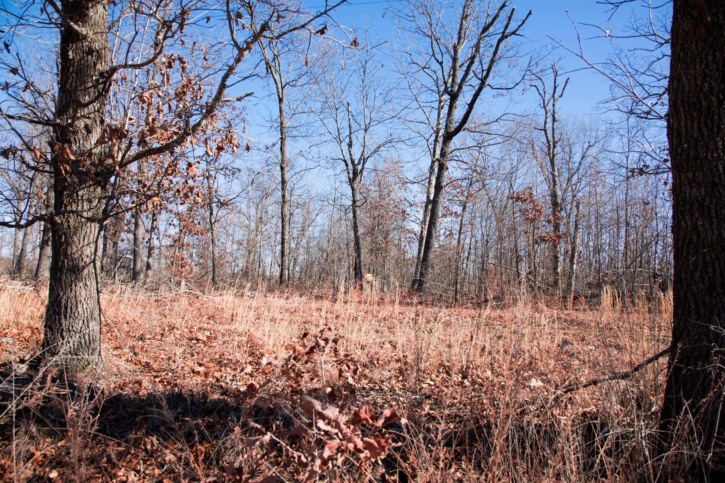 Buffalo Hills Tract 15 photo 11