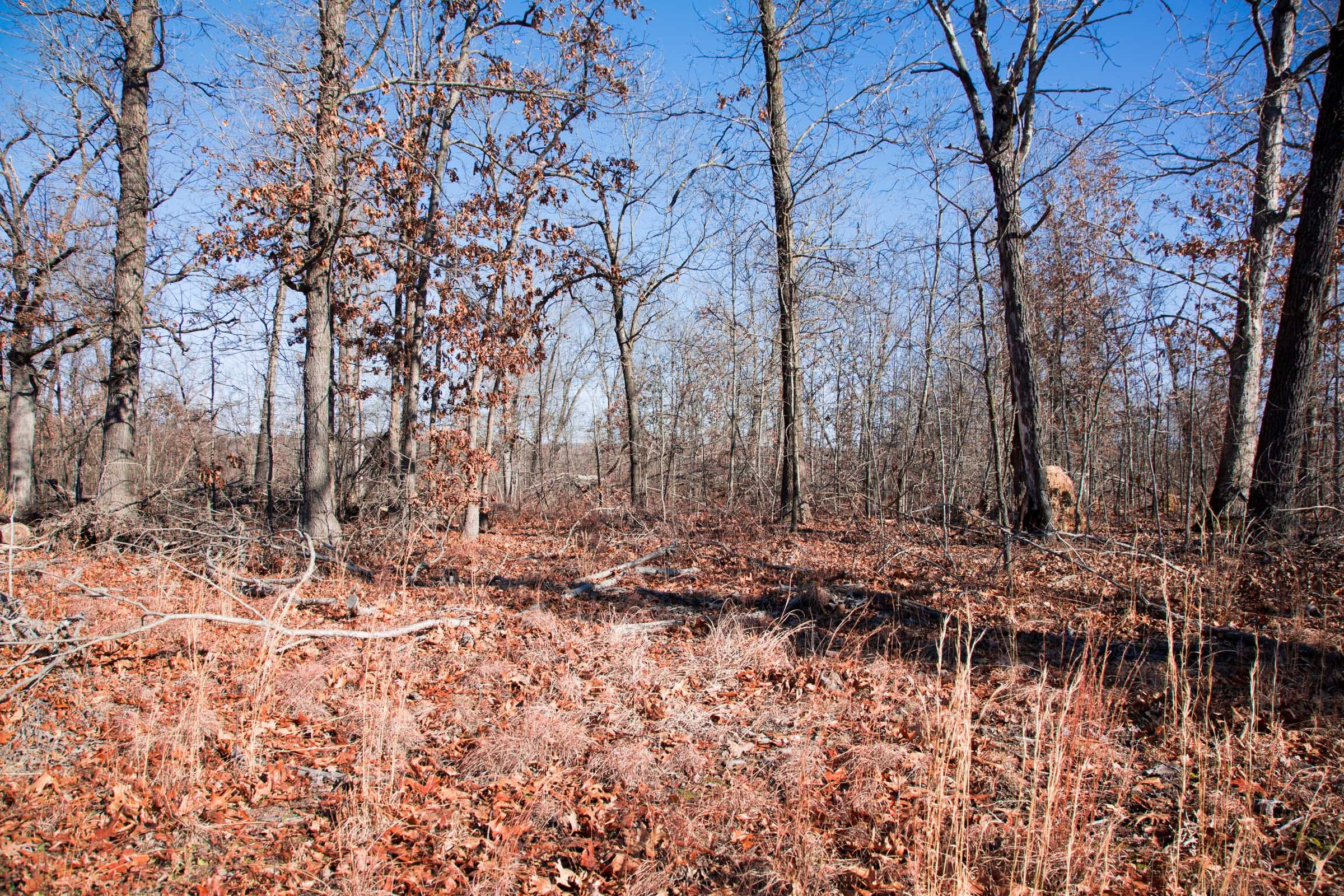 Buffalo Hills Tract 15 photo 12