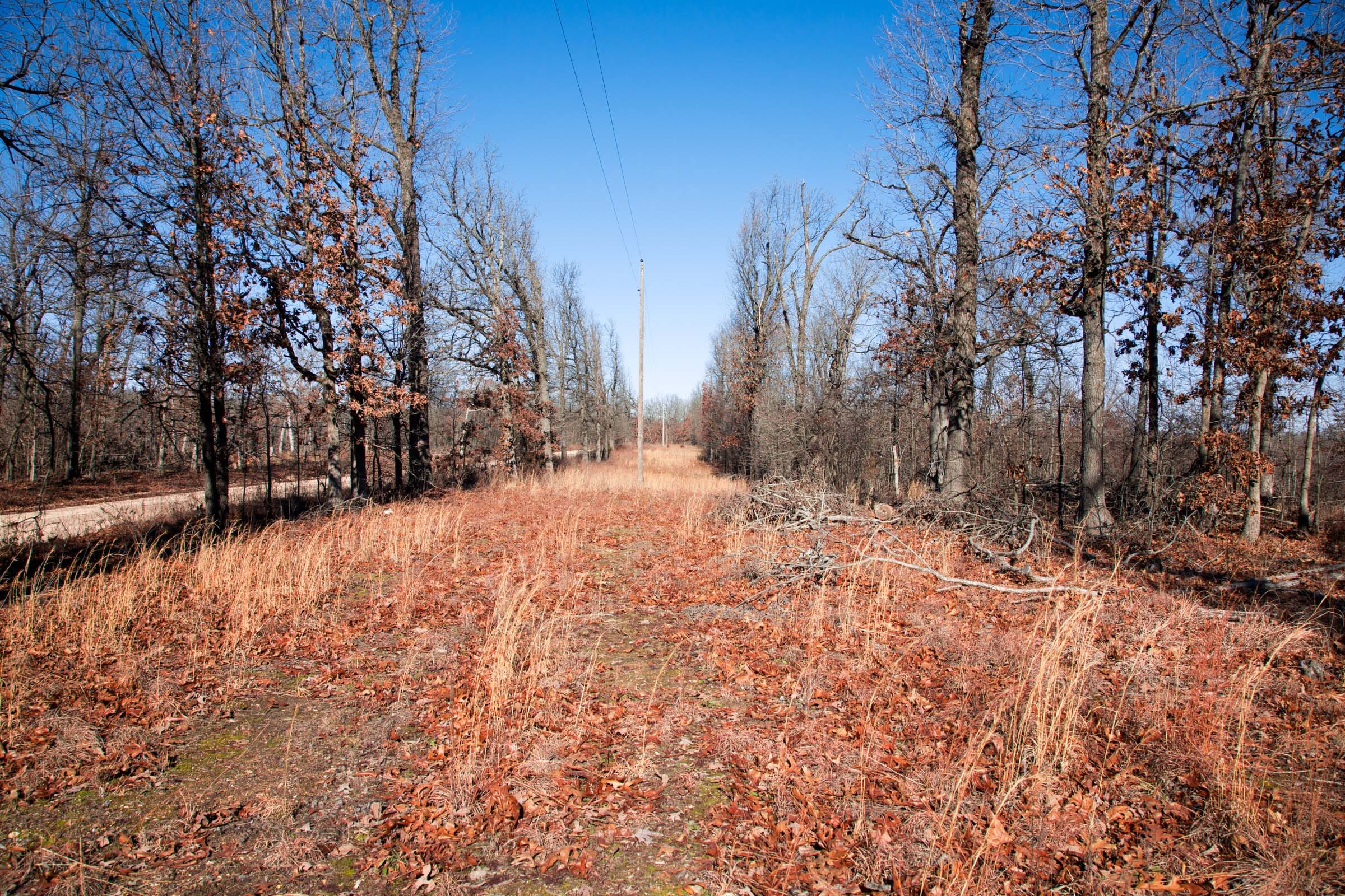 Buffalo Hills Tract 15 photo 13