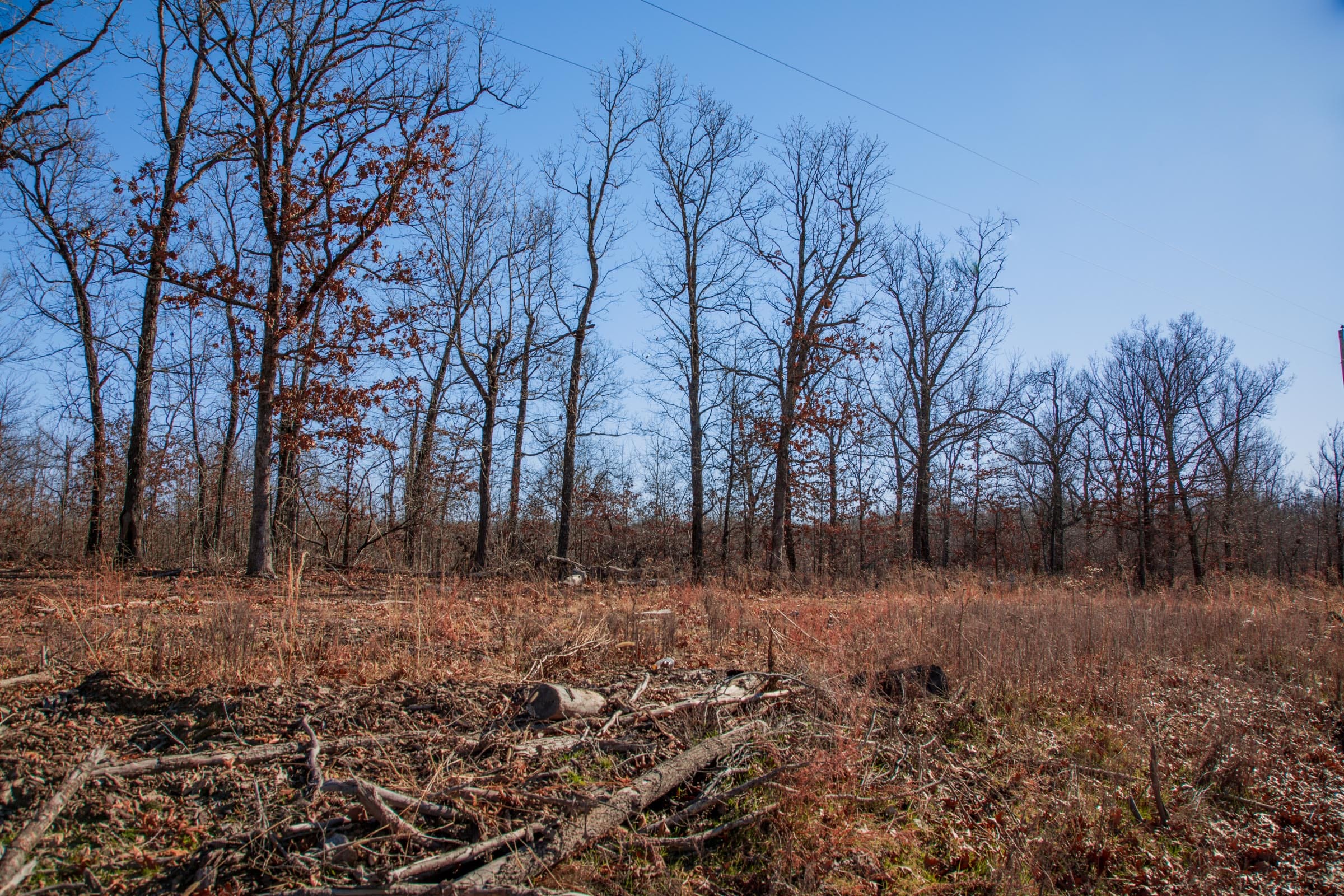 Buffalo Hills Tract 15 photo 14