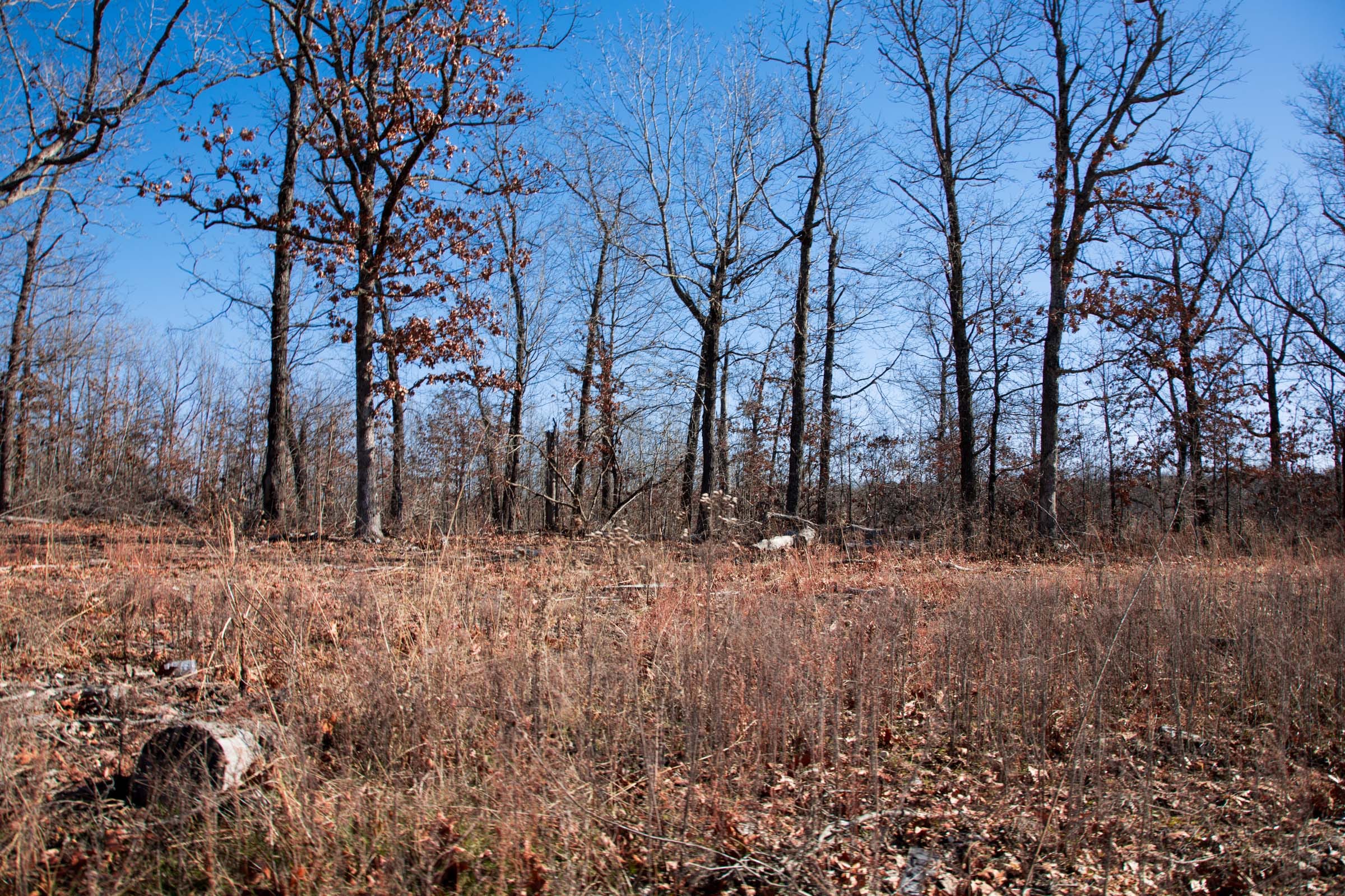 Buffalo Hills Tract 15 photo 15