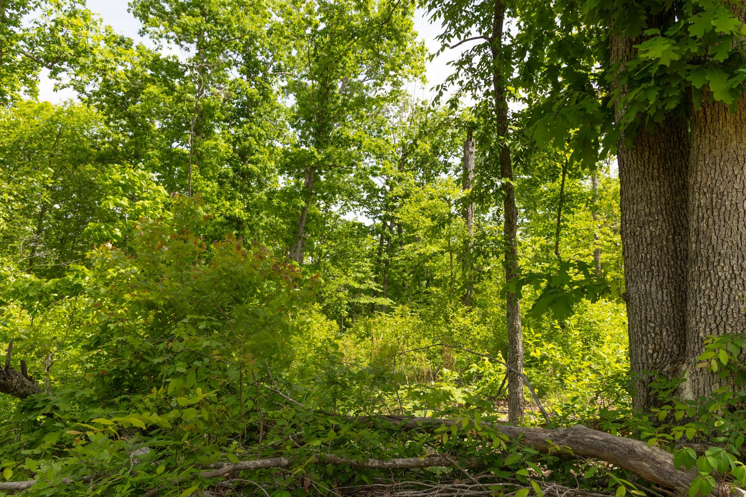 Stardust Estates Tract 26 photo 8