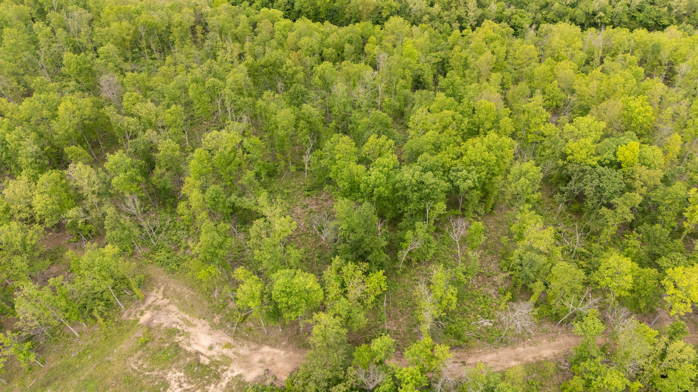 Stardust Estates Tract 27 photo 1