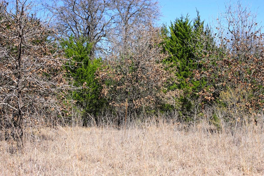 Montgomery Ranch Tract 7 photo 4