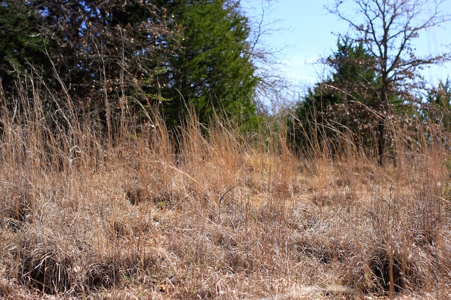 Montgomery Ranch Tract 7 photo 7