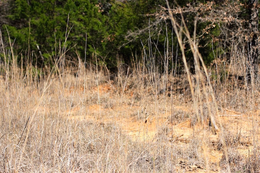 Montgomery Ranch Tract 7 photo 8