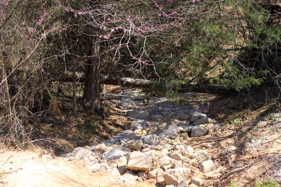 Montgomery Ranch Tract 7 photo 12