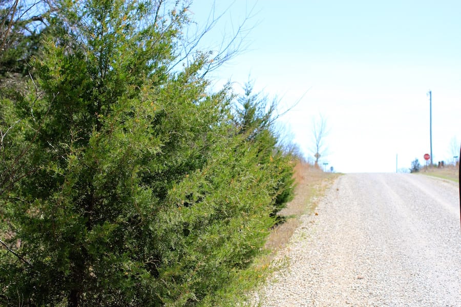 Montgomery Ranch Tract 7 photo 13