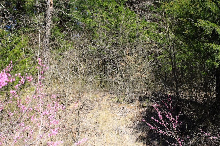 Montgomery Ranch Tract 7 photo 15