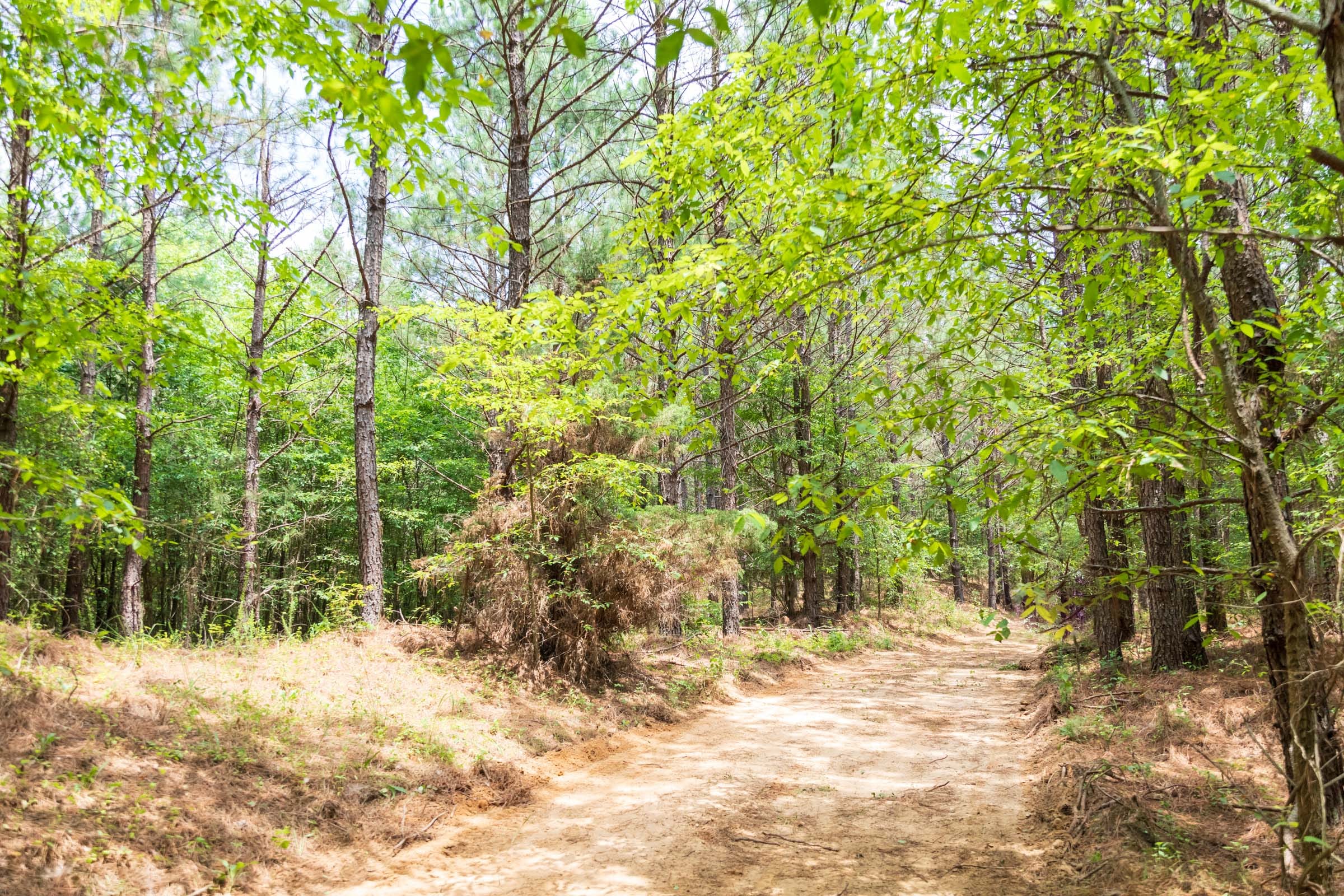 Whiskey Ridge Tract 51 photo 10