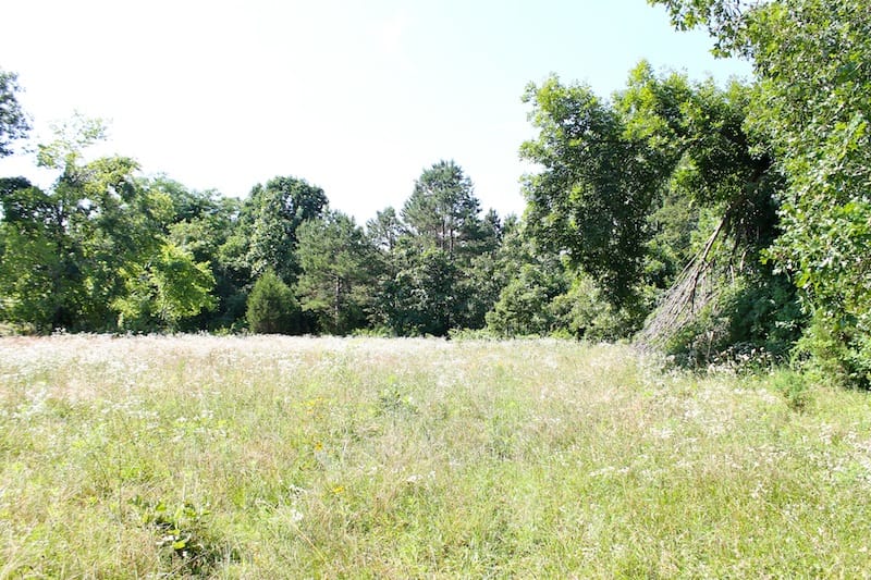 Green Mountain Ranch Tract 10 photo 2