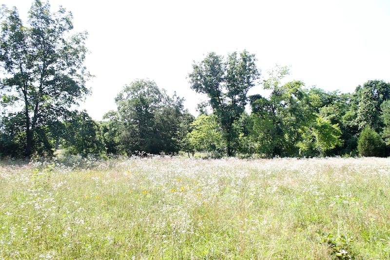 Green Mountain Ranch Tract 10 photo 3