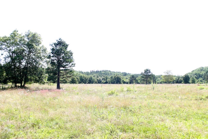 Green Mountain Ranch Tract 10 photo 6
