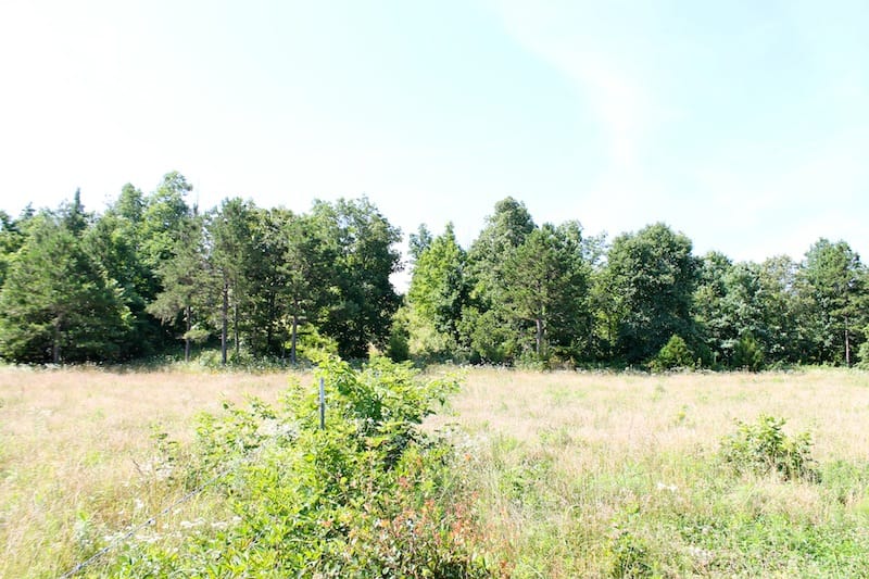 Green Mountain Ranch Tract 10 photo 8