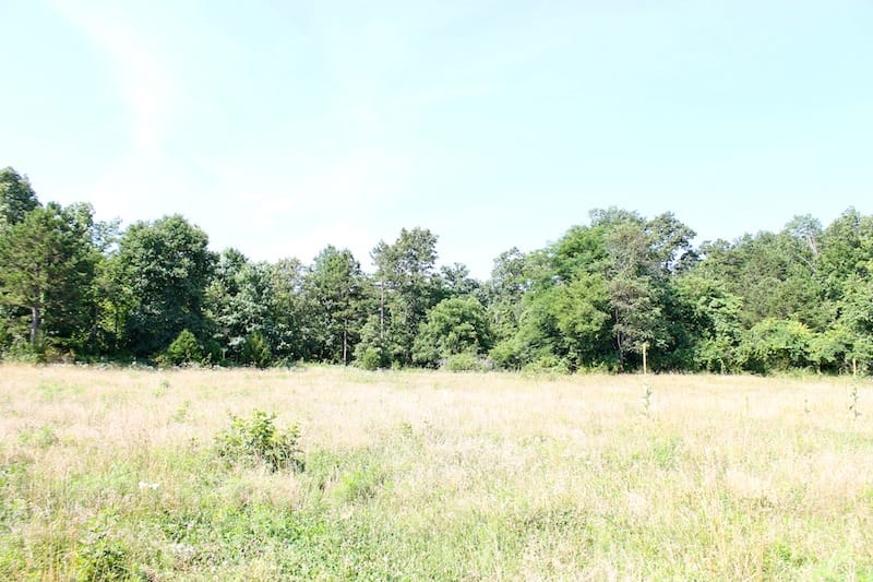 Green Mountain Ranch Tract 10 photo 9