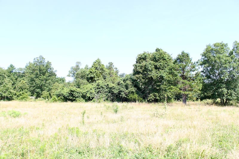Green Mountain Ranch Tract 10 photo 10