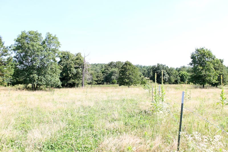 Green Mountain Ranch Tract 10 photo 11