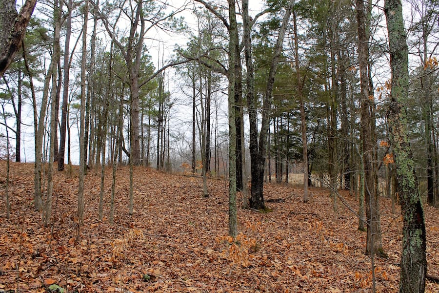 The Tennessean Tract 38 photo 6