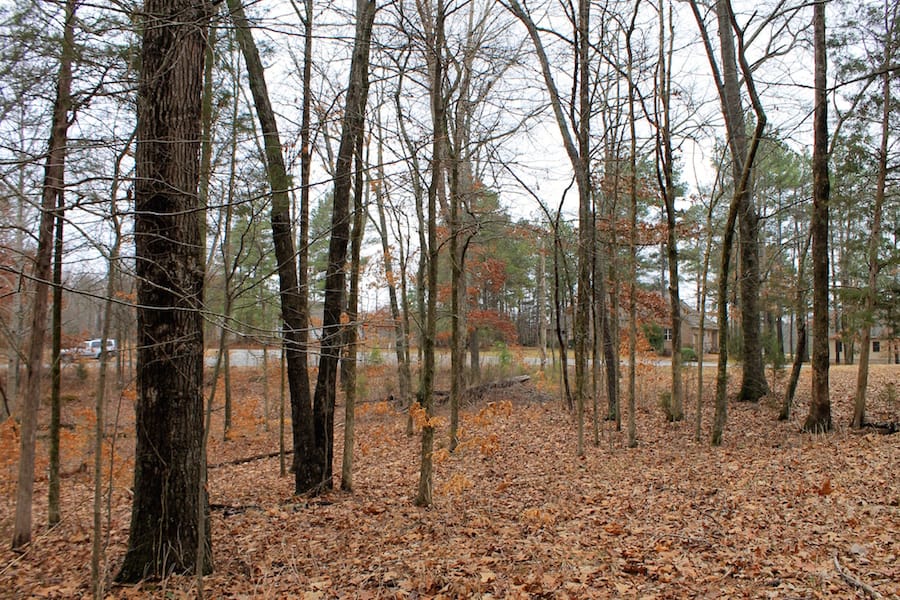 The Tennessean Tract 38 photo 7