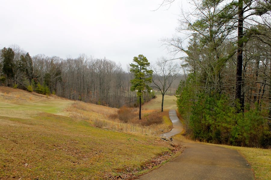 The Tennessean Tract 38 photo 10