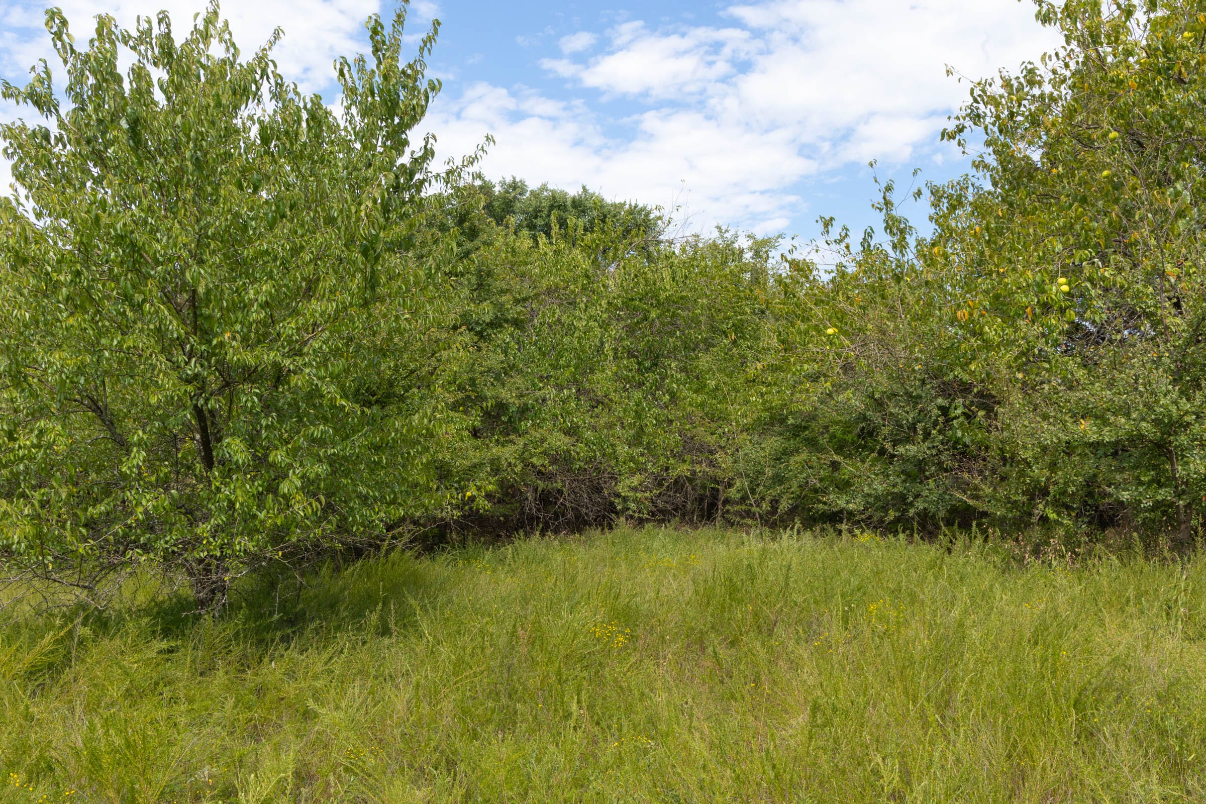 Reserves At Cattail Cove Phase II Tract 49 photo 4
