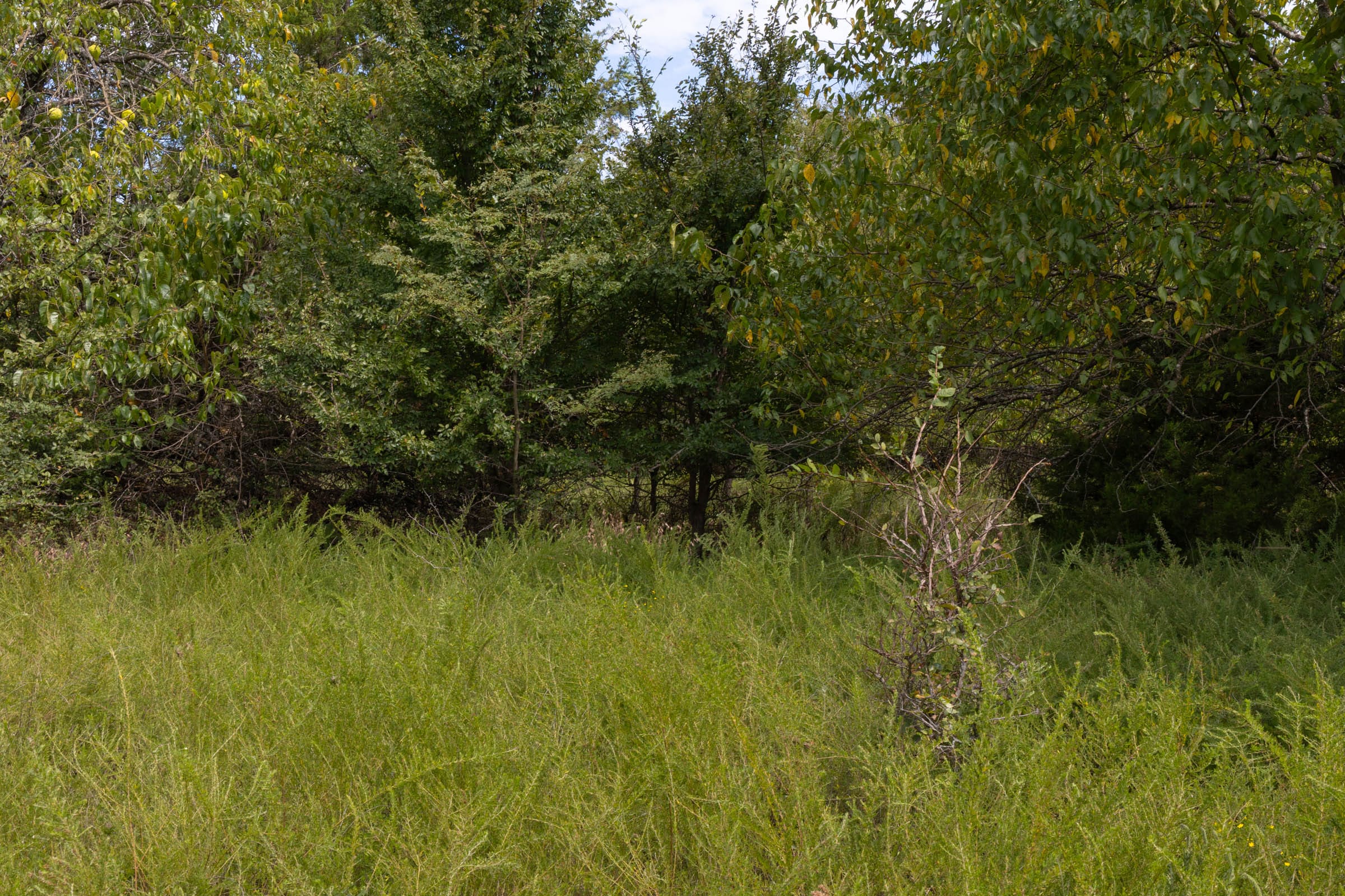Reserves At Cattail Cove Phase II Tract 49 photo 8
