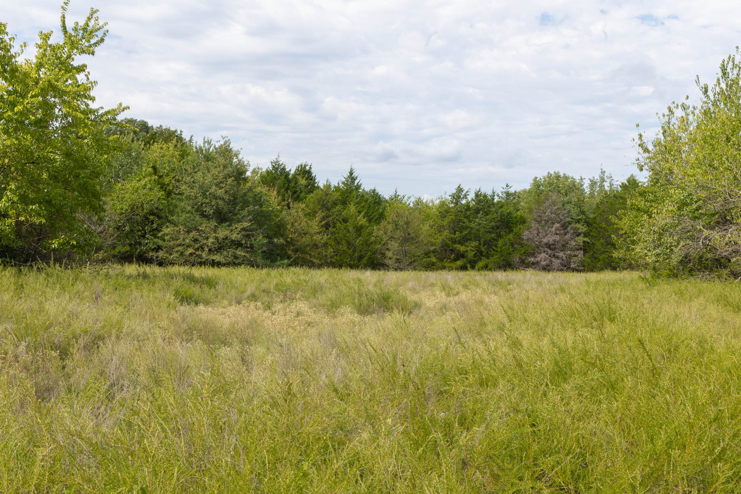 Reserves At Cattail Cove Phase II Tract 49 photo 3