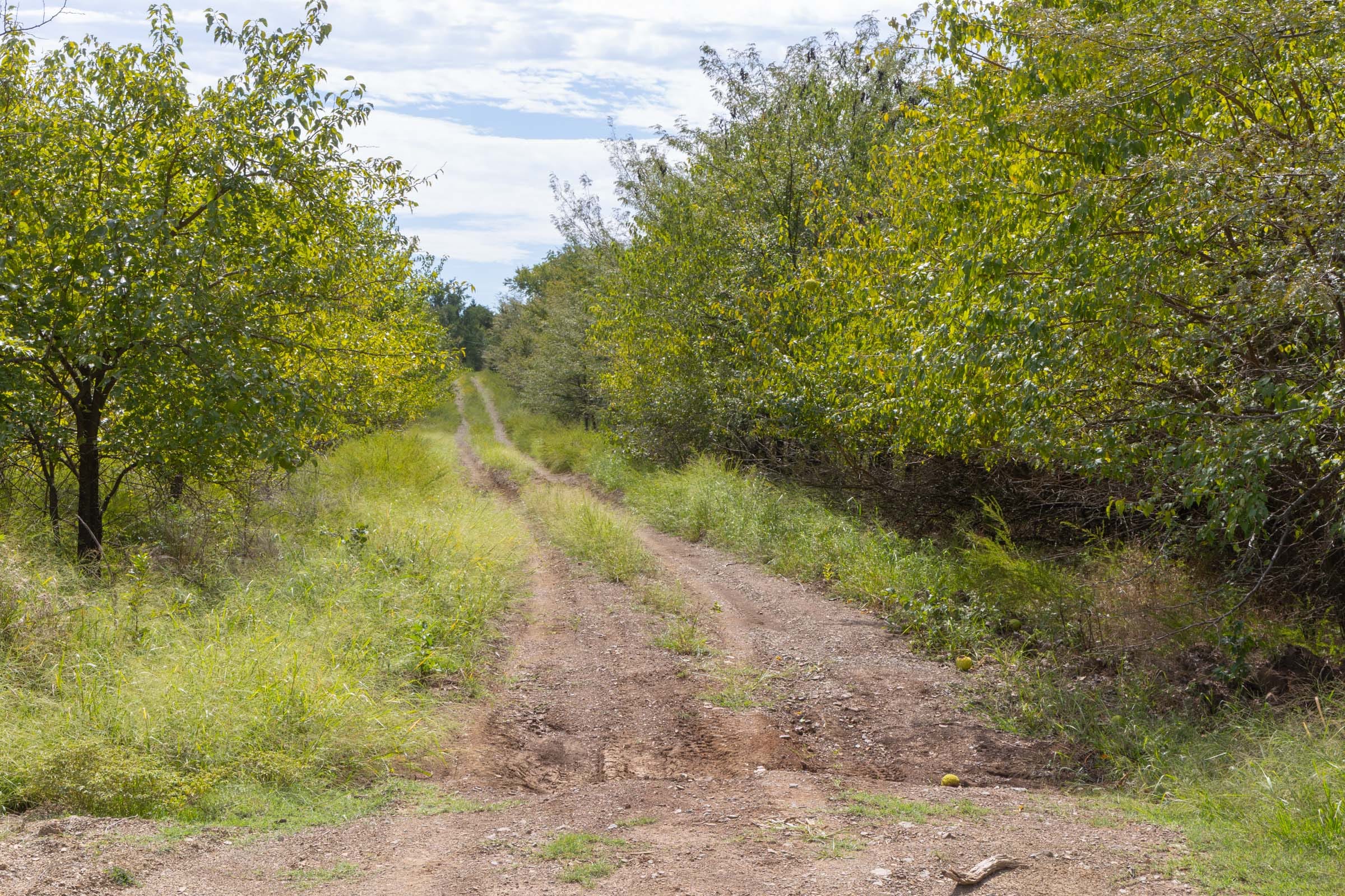 Reserves At Cattail Cove Phase II Tract 49 photo 6