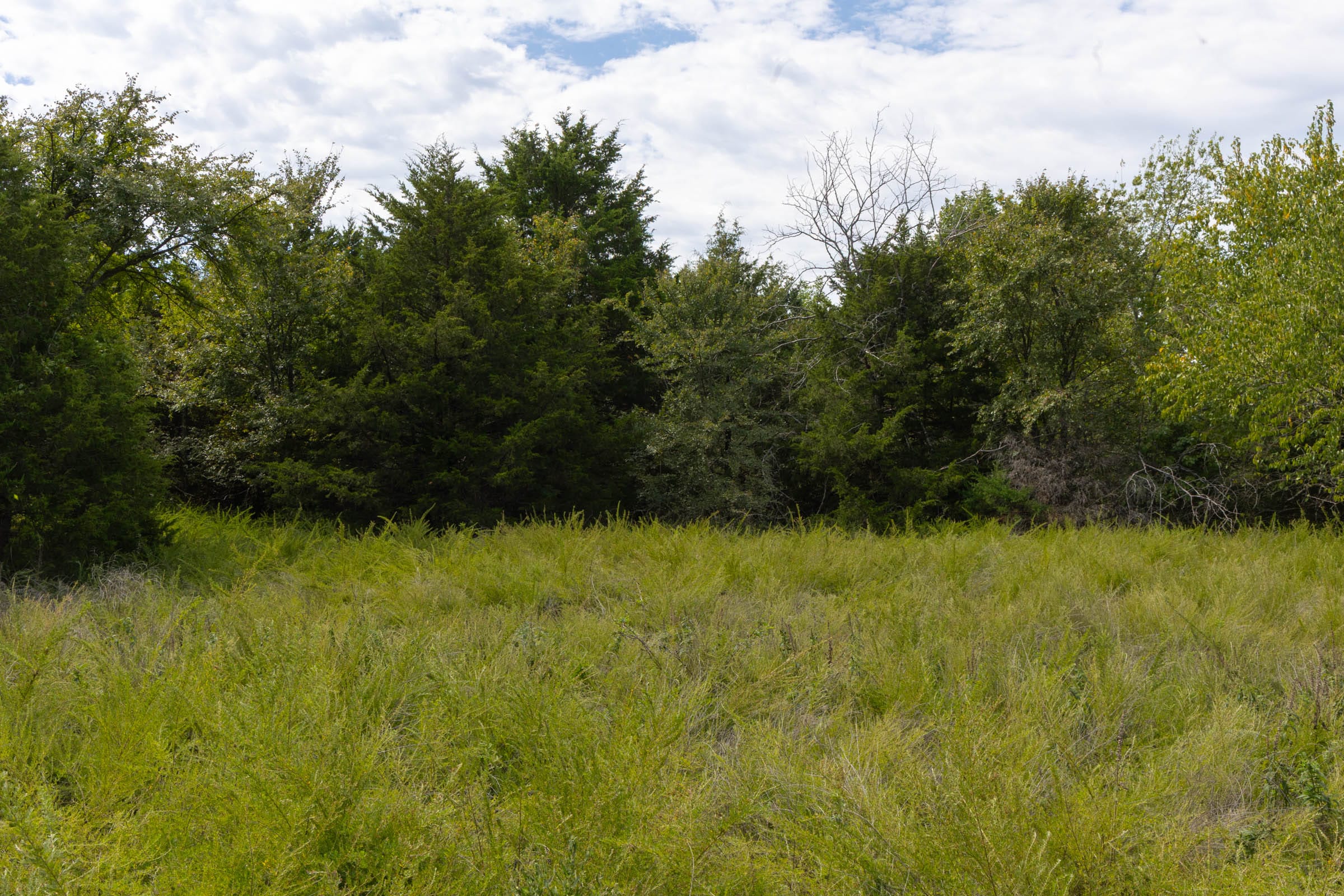 Reserves At Cattail Cove Phase II Tract 49 photo 5