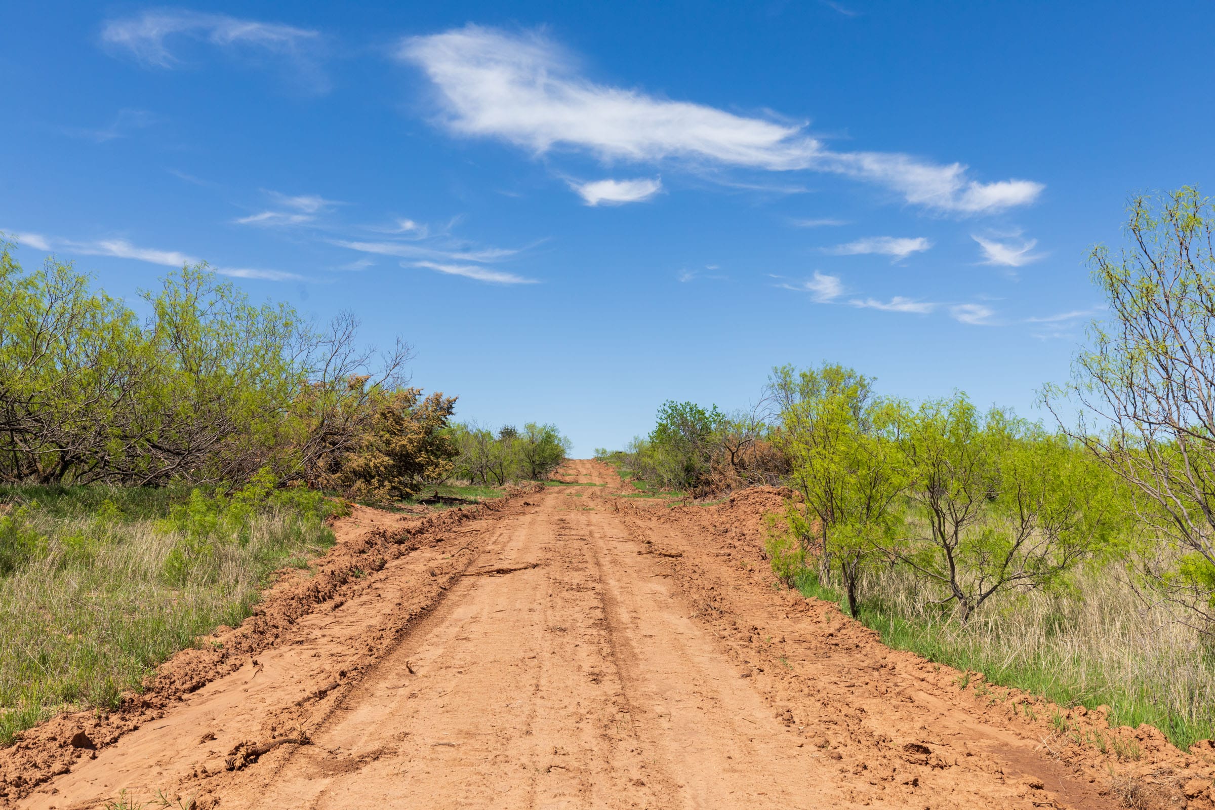 Hackberry Fields Tract 20 photo 12