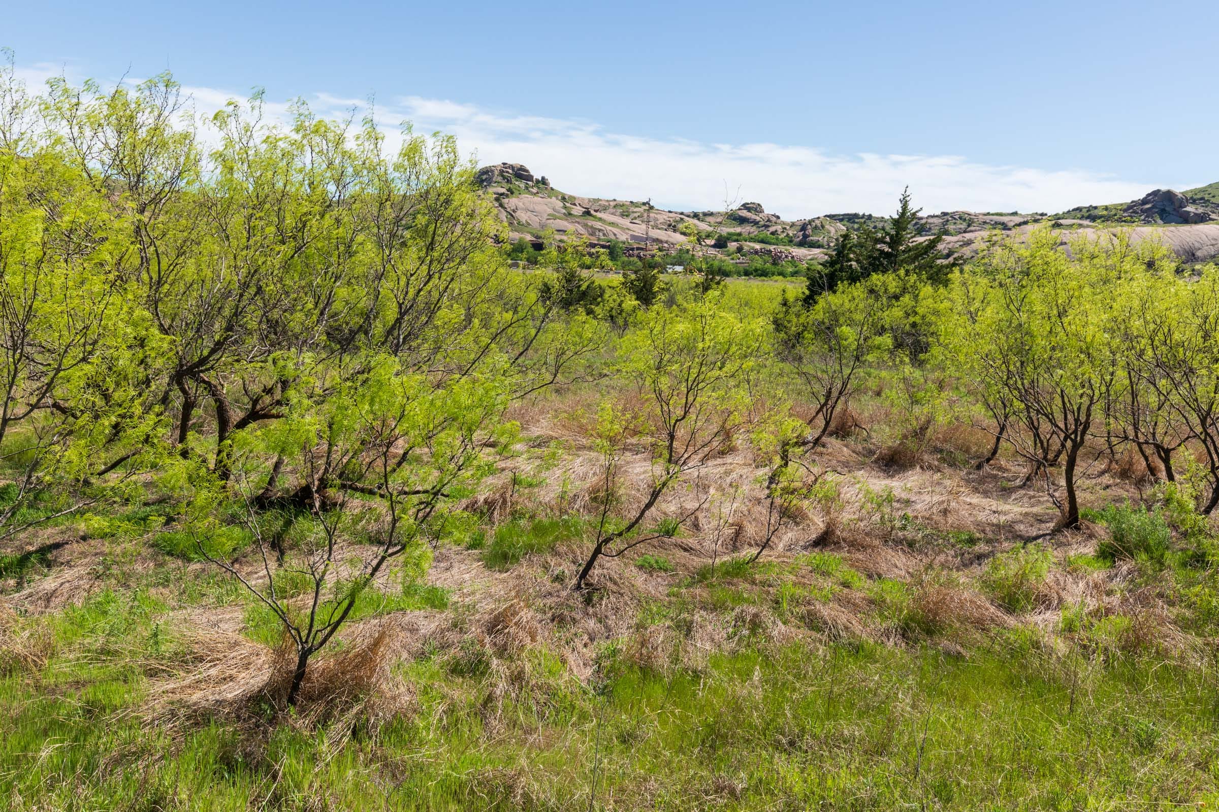 Hackberry Fields Tract 20 photo 13