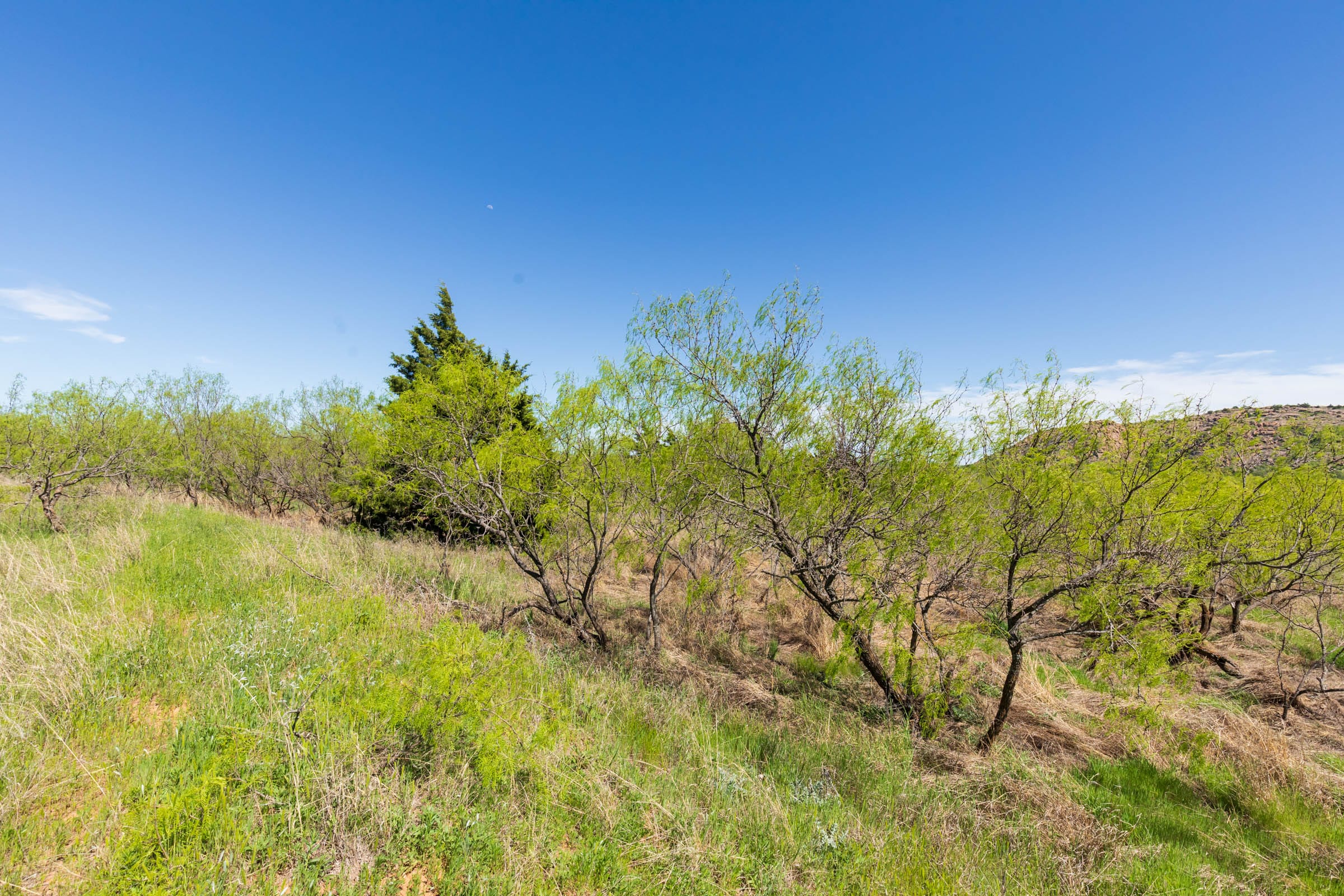 Hackberry Fields Tract 20 photo 16