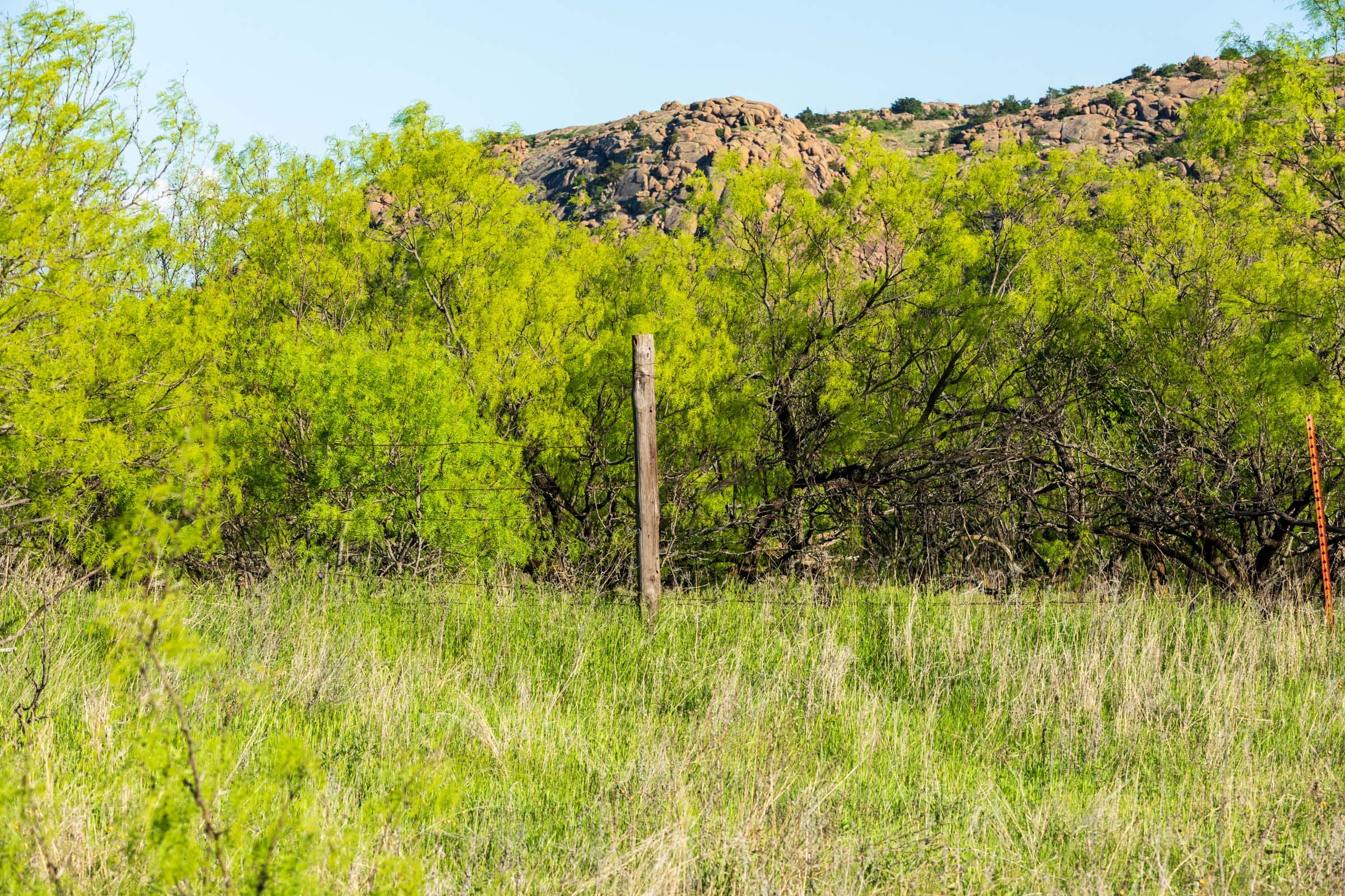 Hackberry Fields Tract 20 photo 18