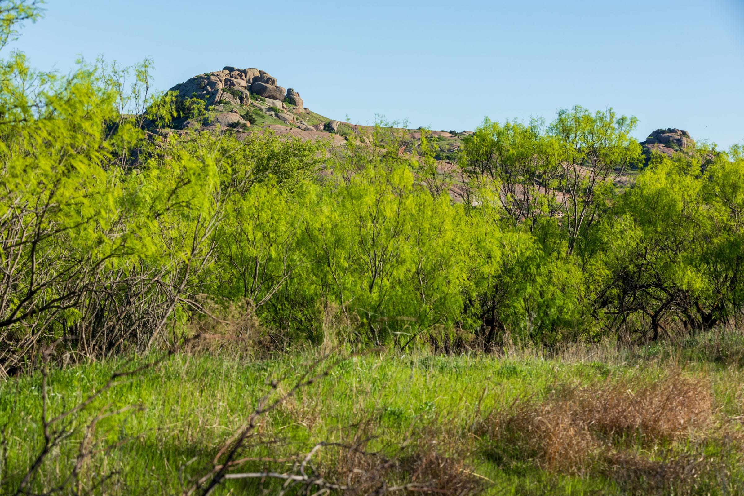 Hackberry Fields Tract 20 photo 20