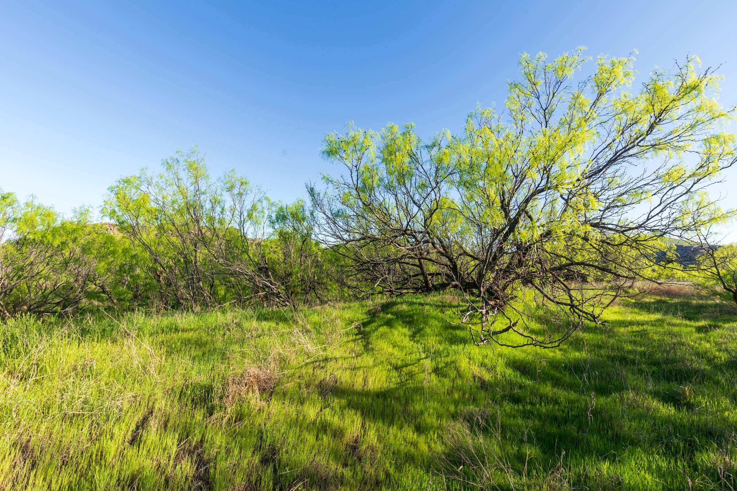 Hackberry Fields Tract 20 photo 19