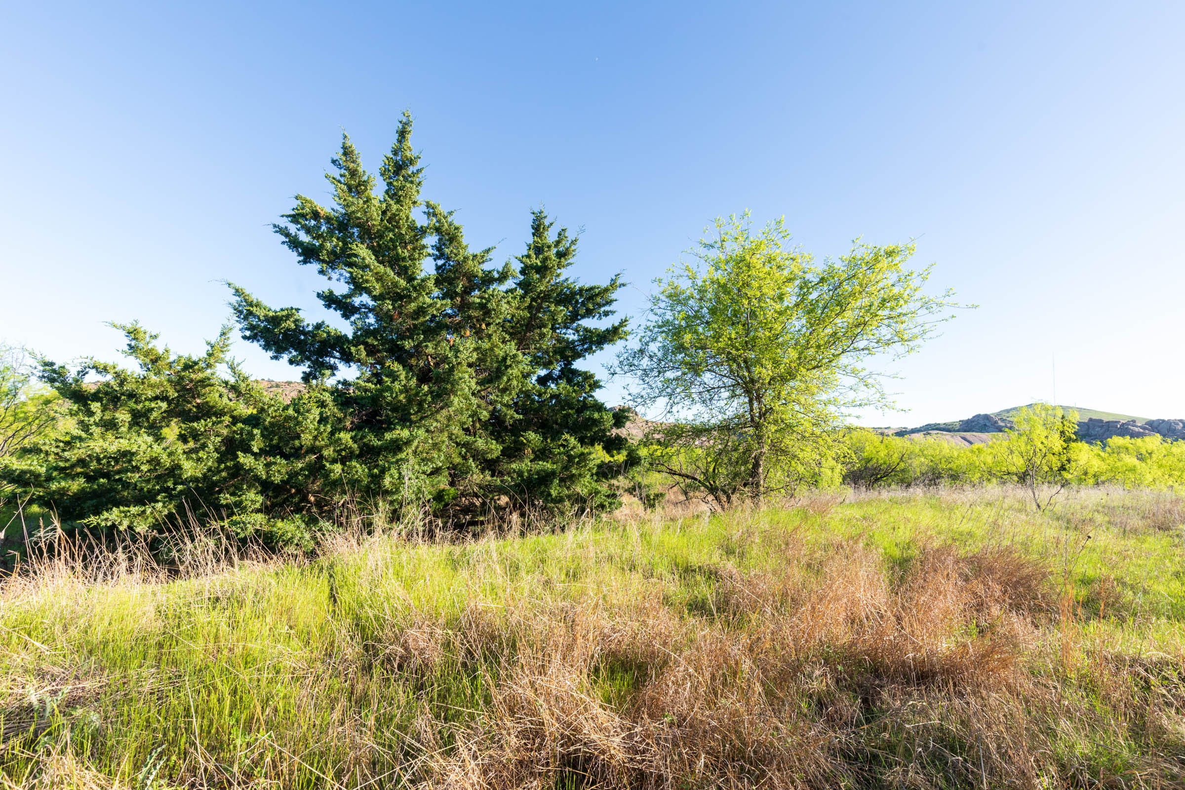 Hackberry Fields Tract 20 photo 21