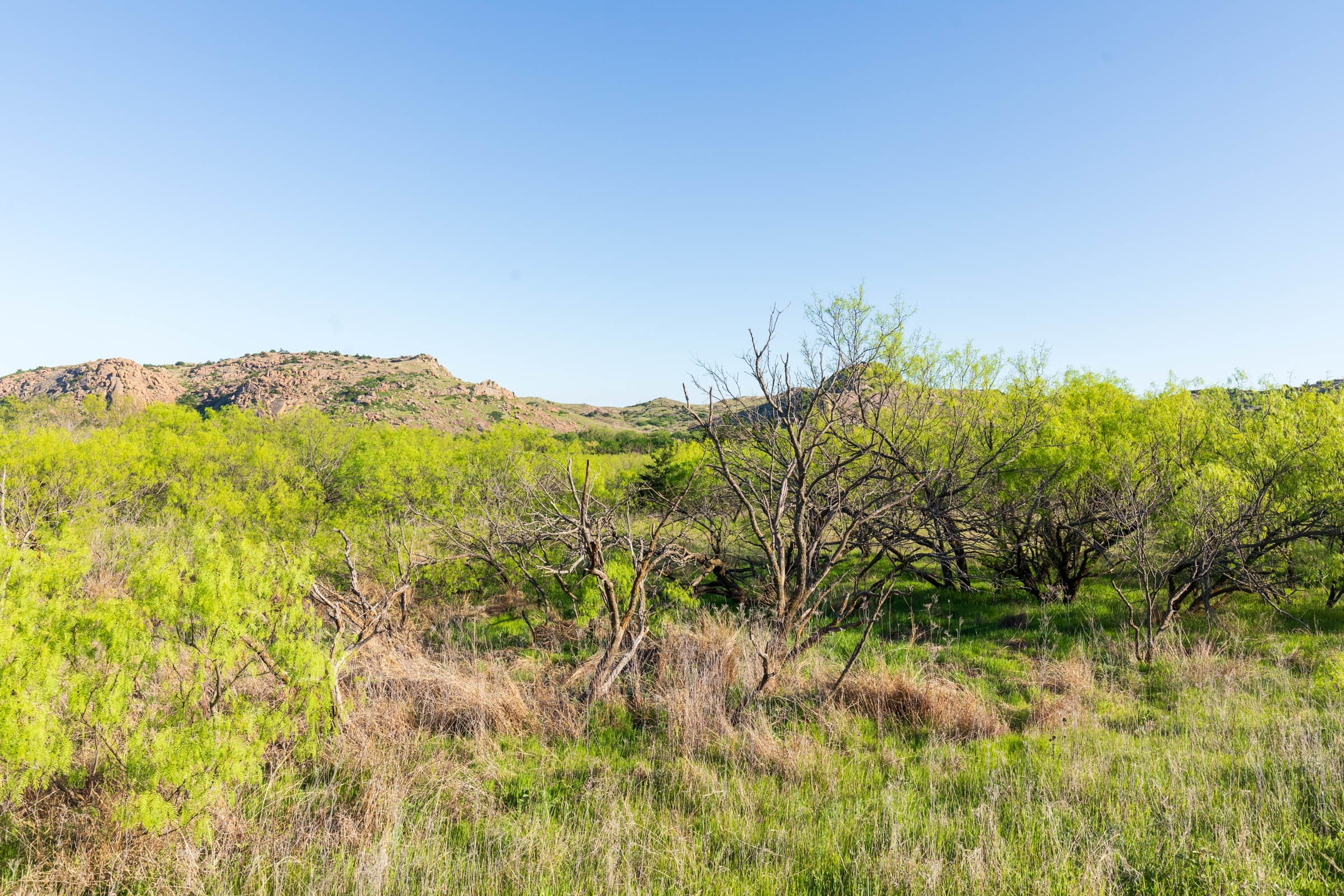 Hackberry Fields Tract 20 photo 23