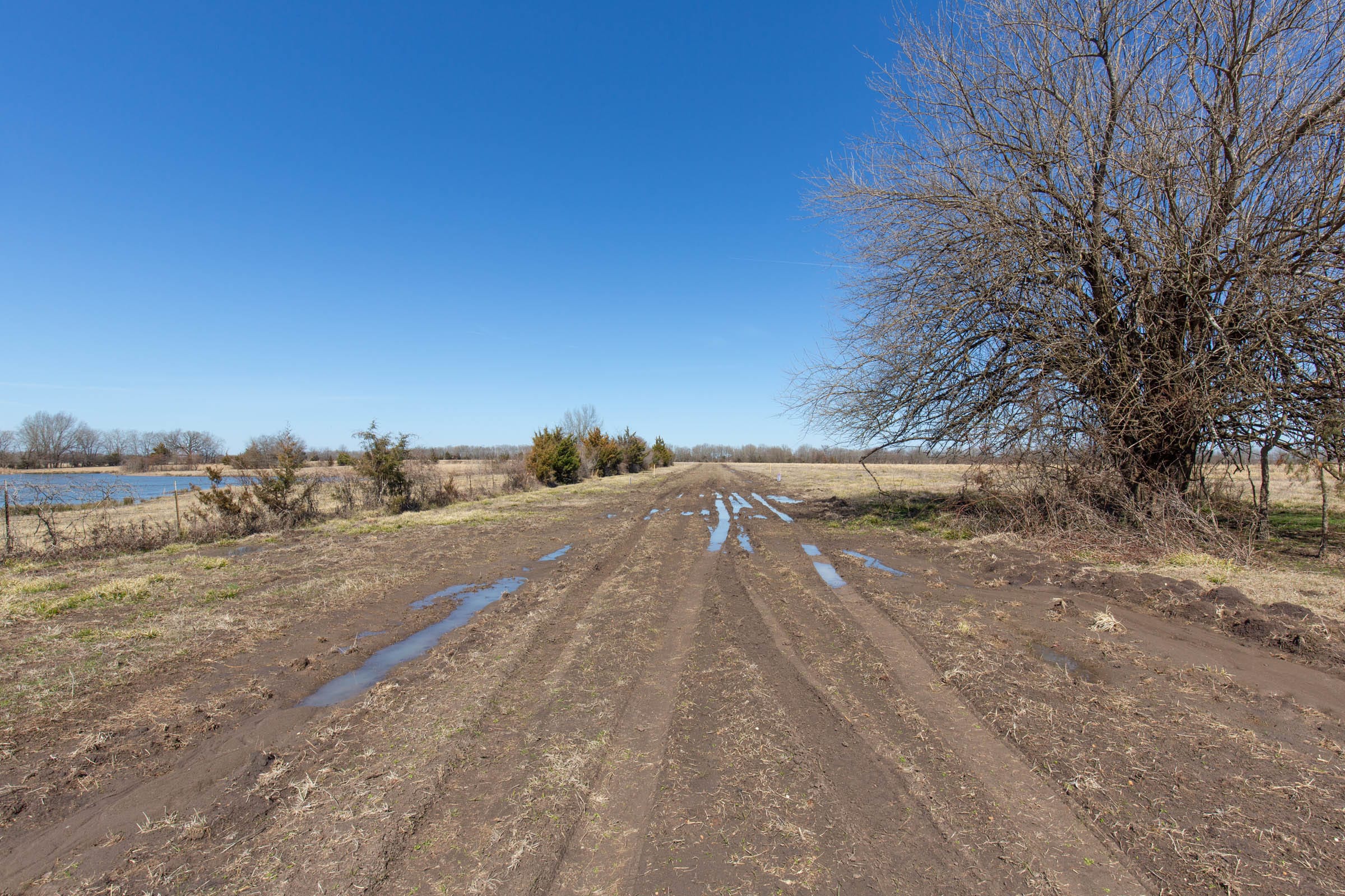 Wishing Star Ranch Tract 21 photo 1