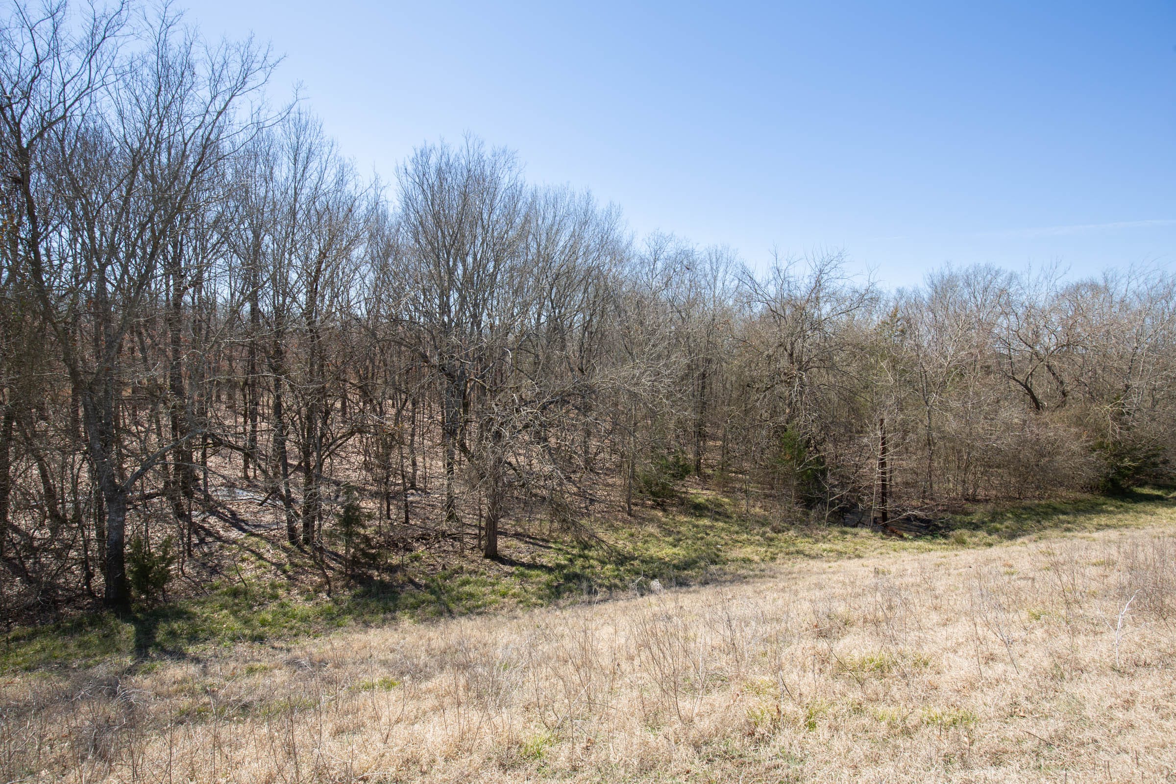 Wishing Star Ranch Tract 21 photo 14