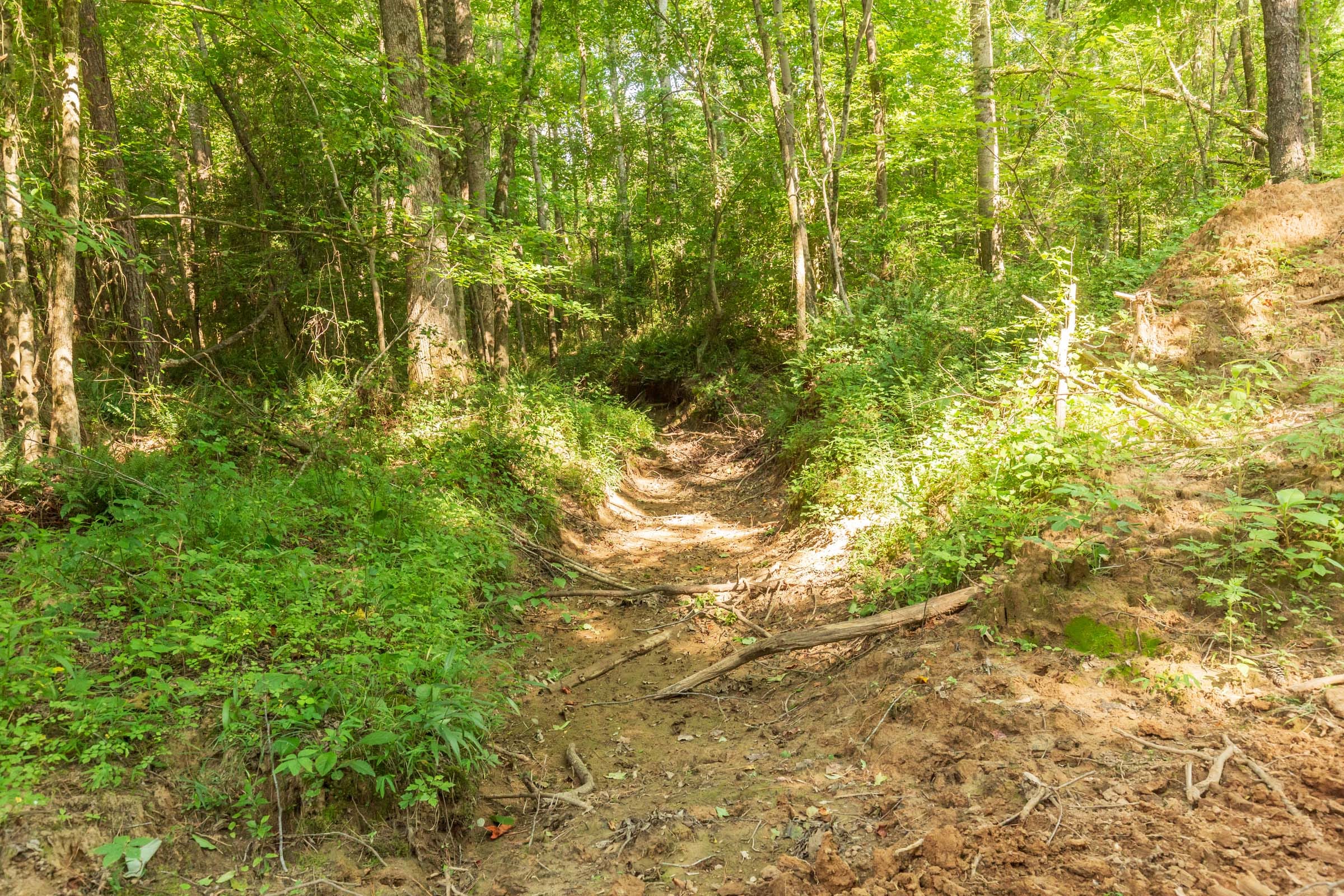 Whiskey Ridge Tract 97 photo 2