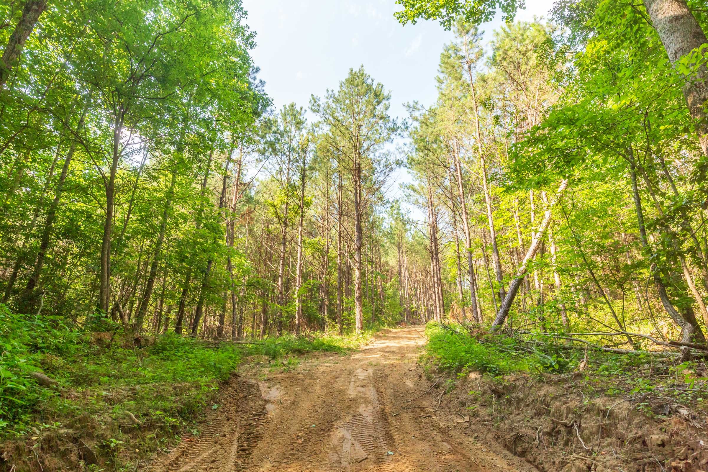 Whiskey Ridge Tract 97 photo 7