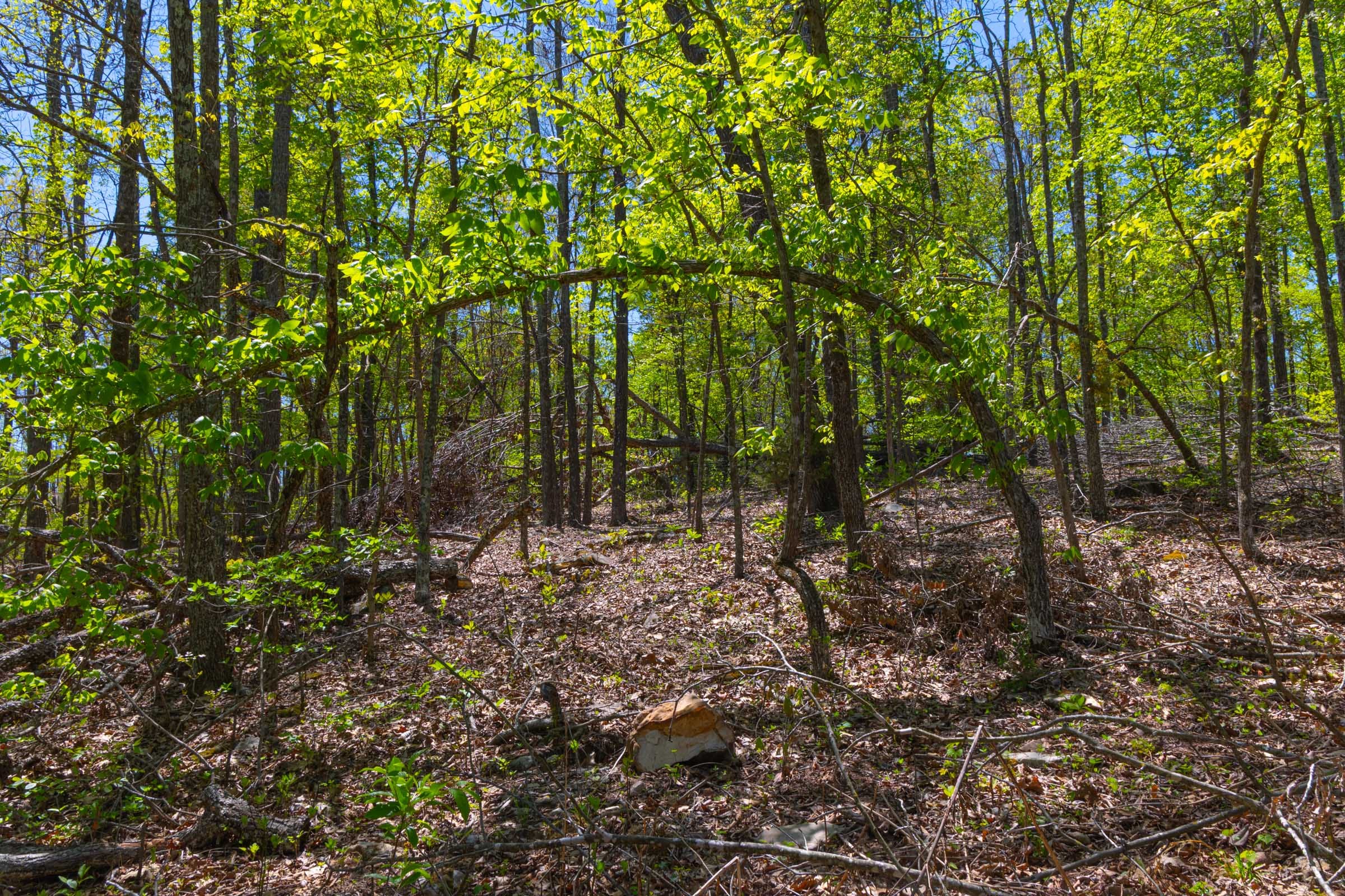 Lazybrook Tract 15 photo 14
